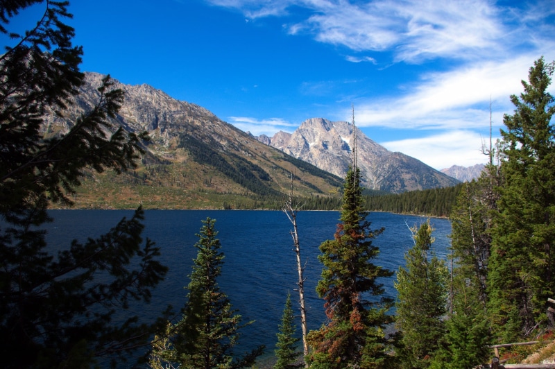 grand, day, panorama, no people, jenny lake vista, teton, park, blue, waters, formation, nature, forest, beauty in nature, sky, tranquil scene, environment