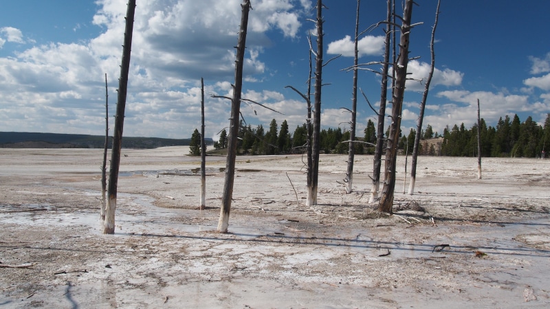wasteland, basin, geyser, no people, day, national, sunlight, outdoors, park, thermal, non-urban scene, arid climate, field, wood - material, 4K, barren