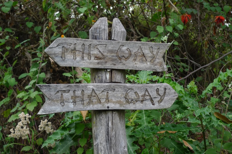 land, no people, that way, communication, direction, plant, information sign, 2K, leaf, symbol, outdoors, arrow symbol, Sign, wood - material, text, western script