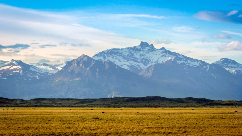 trekking, el calafate, outdoor, outdoors, amazing, beautiful, animals, grass land, argentina, 4K, landscape, photography, land, winter, grass, color, perito moreno