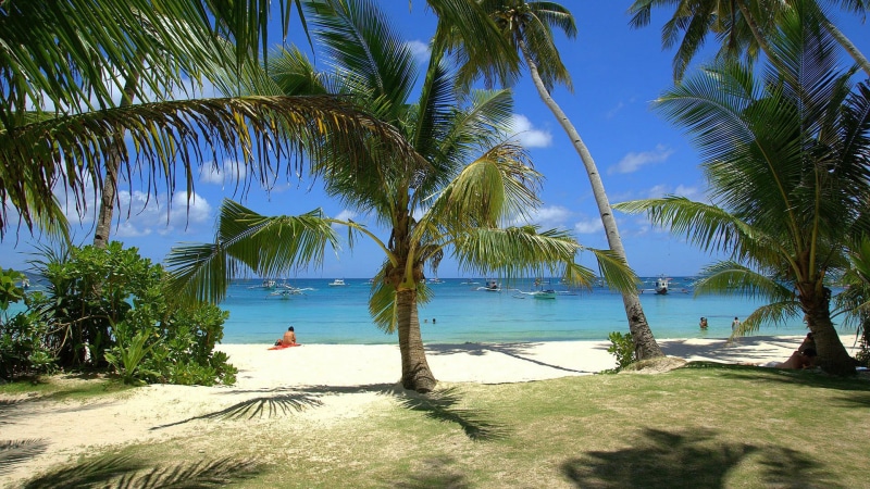 ocean, exotic, scenics - nature, day, coastline, relaxation, water, tourism, beauty in nature, wave, caribbean, land, sky, sunlight, plant, tranquil scene