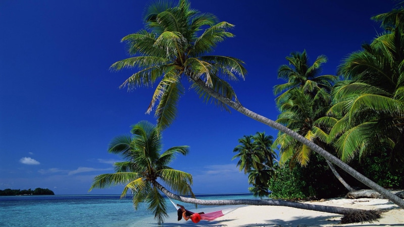 scenic, exotic, sun, tourism, travel, sand, tranquil, ocean, sky, horizon, plant, trip, relax, 1080P, sea, horizon over water, no people, tropical, holiday
