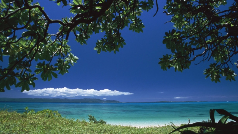 relaxation, resort, tranquil scene, lake, forest, turquoise, tropical, paradise, coastline, nature, bay, landscape, no people, coast, day, sea, beauty in nature
