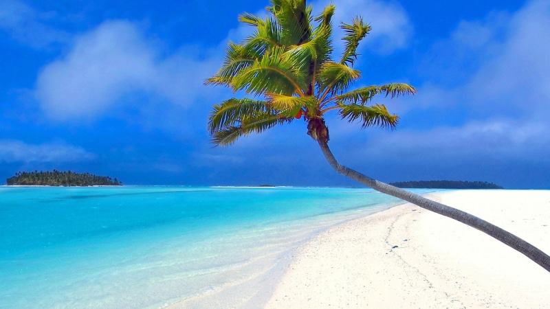 sky, shore, true laurel, idyllic, tree, tourism, water, tropical, vacation, caribbean, 1080P, sunny, turquoise, sun, bay, island, wave, summer, relax