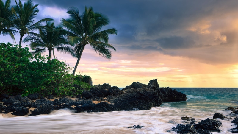 seaside, coastline, travel, true laurel, scenic, sea, sky, tropical, horizon, water, sun, shoreline, no people, nature, palm tree, beauty in nature, vacation