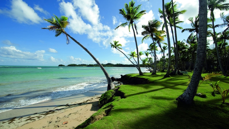 tropical, beauty in nature, scene, land, cloud - sky, trees, coastline, summer, day, shore, beach, nature, reflection, tropical climate, coconut palm tree