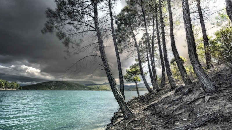 rock, season, tree, 1080P, park, outdoor, plant, mountain, sea, vacation, stream, beach, non-urban scene, tranquil, summer, ocean, sun, cloud - sky, beauty in nature