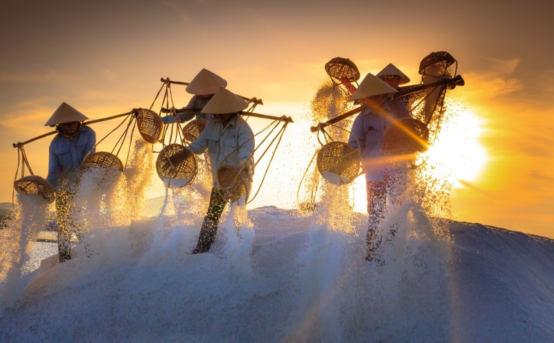 land, trang, males, fields, Harvest, sky, SaltFields, Sunshine, Natural, hardwork, khoi, Sunlight, fisherman, splashing, lifestyles, Traditional, Photography