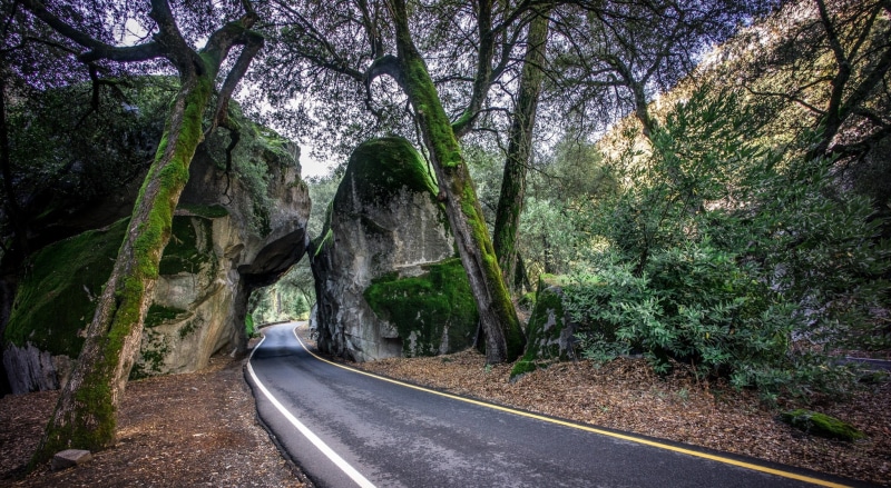 visit, the way forward, Yosemite, outdoors, United States, direction, Valley, Trees, tranquility, Travel, Nature, Park, symbol, plant, Landscape, forest
