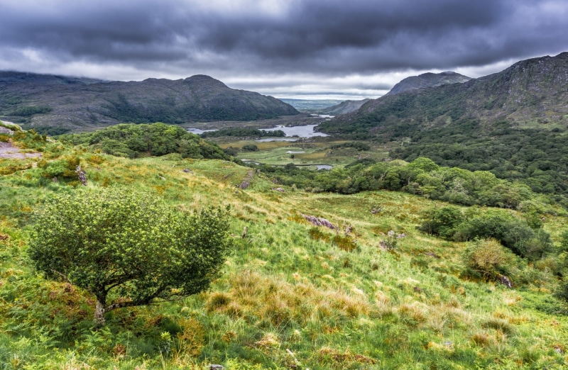 ladiesview, tourism, Europe, Mountains, Travel, park, Valley, national, ladies, Lakes, visit, touristdestinations, Clouds, 1080P, Ireland, Nature, Vacation