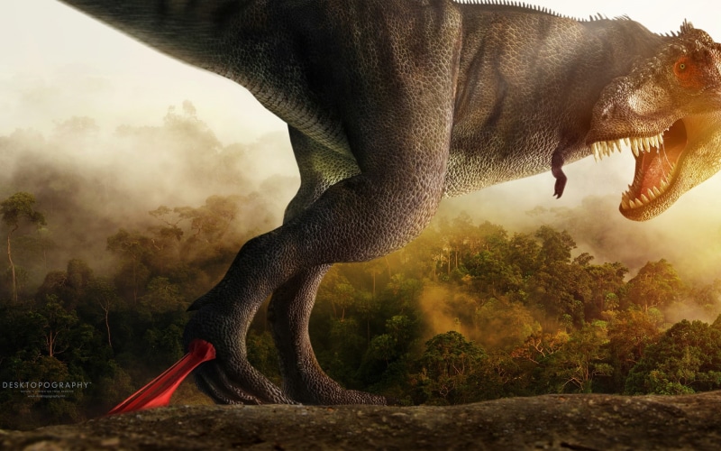 dino, creative, gray, creative and graphics, rex, 1080P, hd, graphics, t, squelch