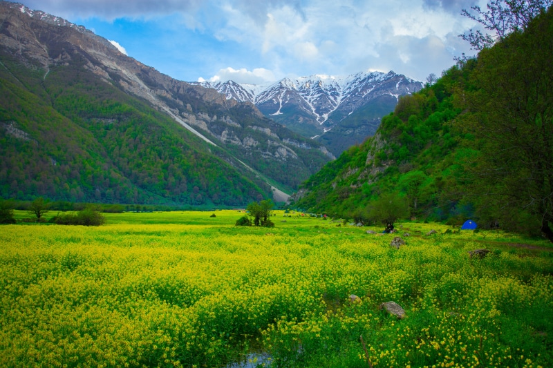 sky, mountain range, land, flowering plant, iran, no people, non-urban scene, tranquil scene, mountain peak, tree, snowcapped mountain, idyllic, landscape