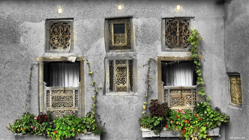 built structure, concrete, outdoors, day, gray, 1080P, plant, architecture, flower, no people, growth, wall - building feature, potted plant, entrance
