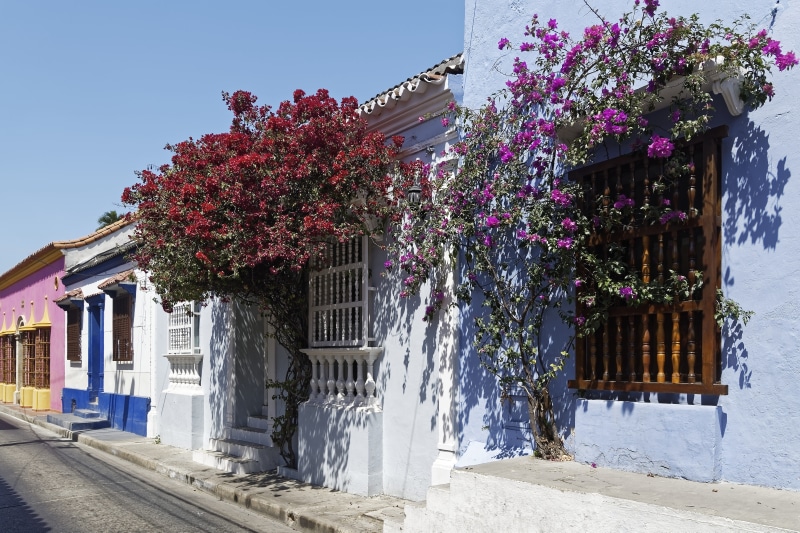 8K, plant, fragility, architecture, nature, building exterior, historic center, house, pink color, travel, beauty in nature, vulnerability, built structure