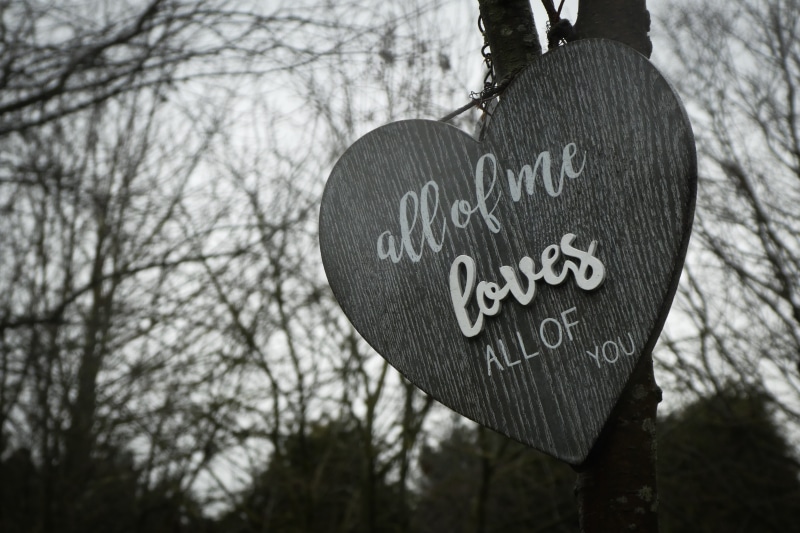 close-up, love, loves, no people, focus on foreground, romance, information, 5K, signage, kingfisher nature reserve, linen, bare tree, clothing, bournemouth
