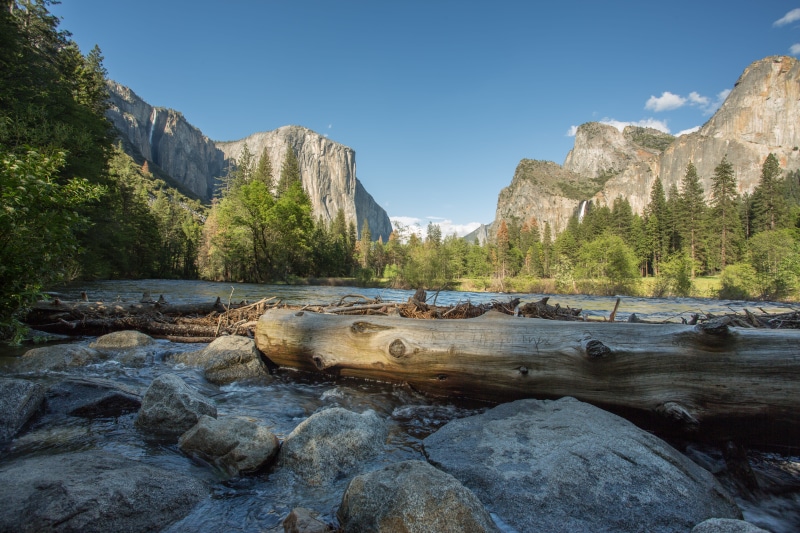 nature, mountain, coffee, scenics - nature, plant, happy, tranquility, office, home, yosemite valley, flower, solid, tree, work, sky, landscape, space
