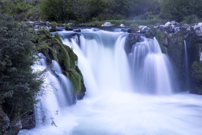 forest, 1080P, landscape, lands, river  wild, waterfall, nature, Takeover, trees, river, green leaf, plants, water, Wilderness, Wild and Scenic River
