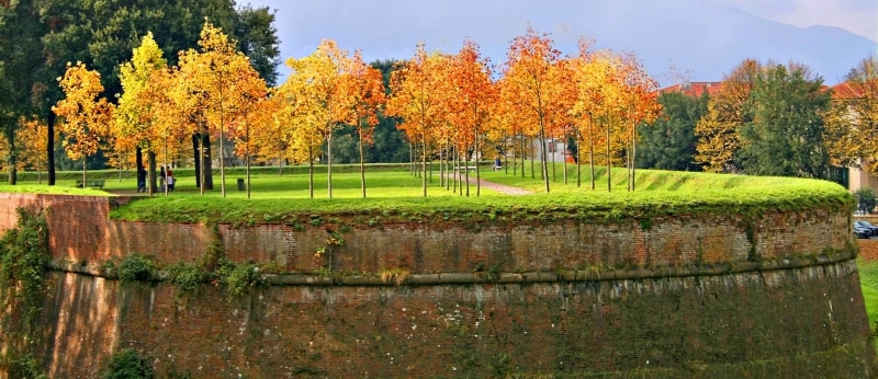 outdoors, park - Man Made Space, park, change, landscape, no people, orange color, trees, yellow, water, scenics, season, multi Colored, scenics - nature