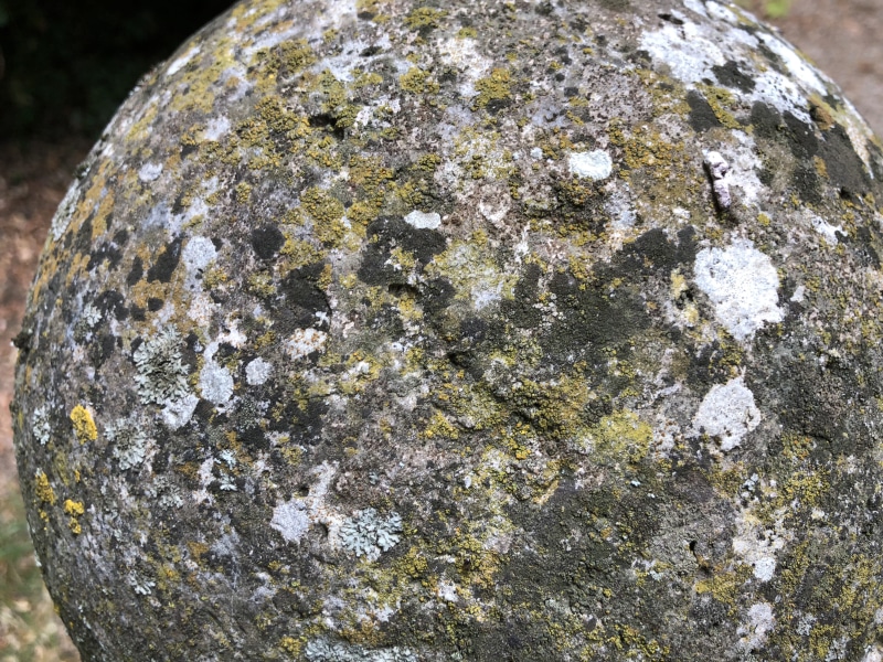 tree, solid, shape, san martino in campo, circle, ancient stone globe atop a column, rock, umbria, no people, plant, pattern, italy, focus on foreground