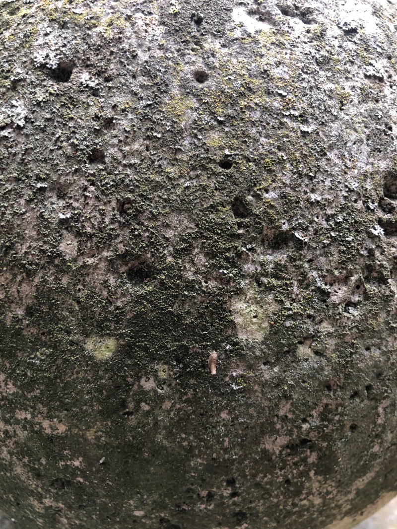 no people, full frame, trunk, outdoors, soil, perugia, globe, umbria, tree trunk, old, rock, moss, textured, san martino in campo, ground, tar, italy, villa donini
