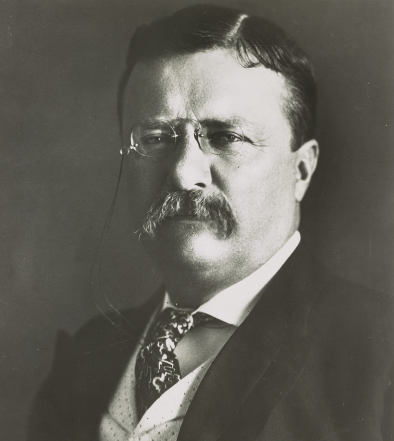 president, mid adult, person, one person, man, teddy roosevelt, portrait, teddy, grayscale, contemplation, front view, mid adult men, mature men, beard