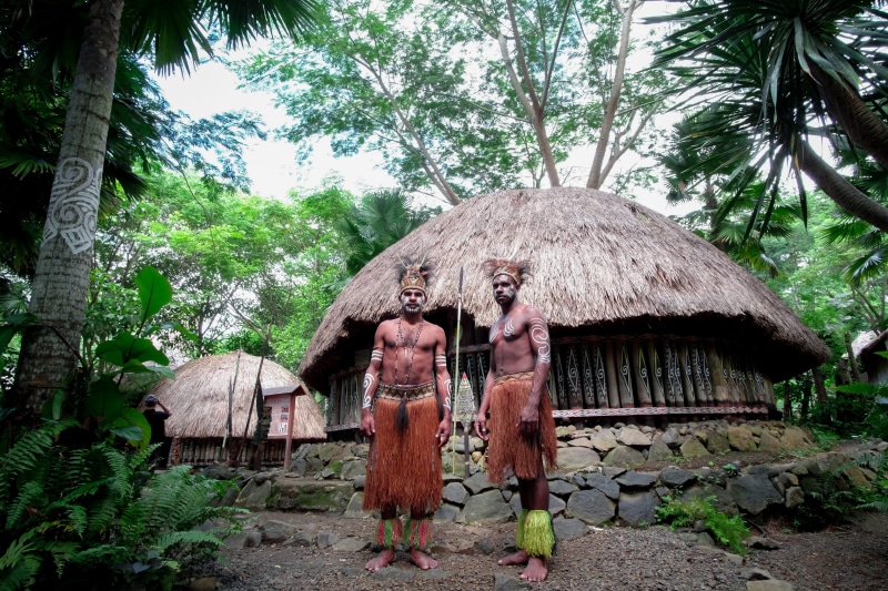 tribe, hut, nature, thatched roof, outdoors, two, building exterior, tree, no people, papua, built structure, growth, building, africa, cottage, warrior
