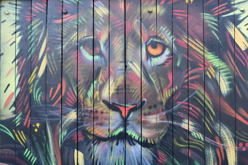 ornament, street art, painting, digital composite, 5K, reykjavík, lion, wall, day, backgrounds, no people, mural, art, outdoors, human representation
