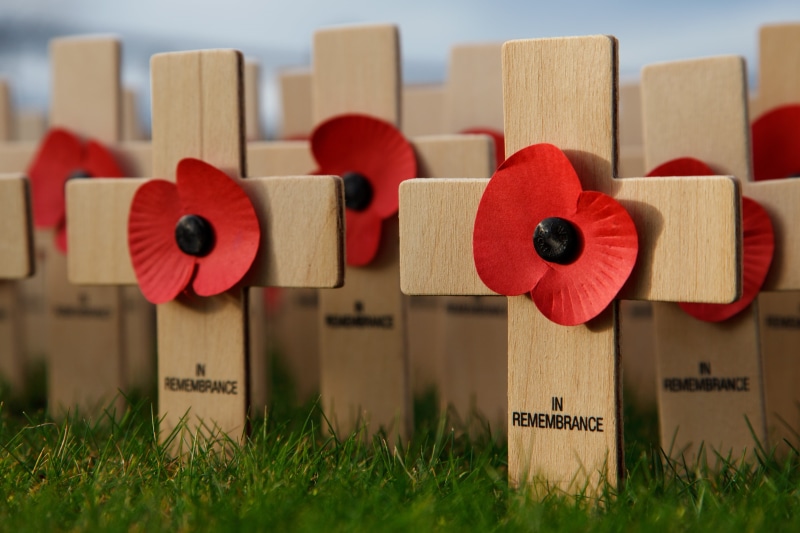 wood - material, outdoors, communication, remembrance, poppy, belief, cemetery, decors, decor, symbols, november, text, cross, pin, flower, war, military