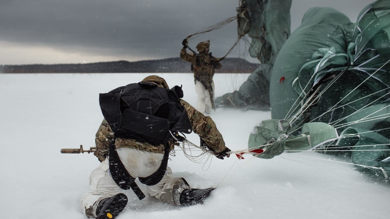 nature, day, mammal, people, vertebrate, real people, one animal, paratroopers, rear view, clothing, rifles, outdoors, warm clothing, soldier, canine, dog