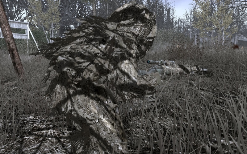 sniper, pets, animal themes, mammal, field, land, 1080P, outdoors, nature, day, built structure, grass, trees, domestic, death, call of duty 4 modern warfare