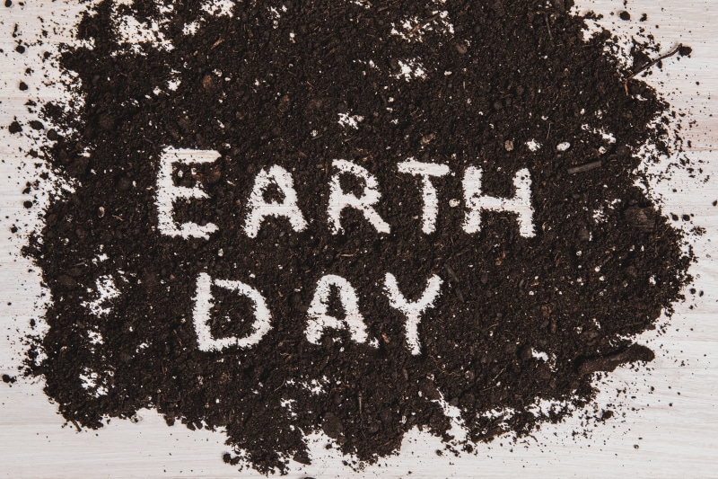 convey, pattern, emotion, indoors, flower, letters, soil, white color, dark soil, creative, fresh, 4K, natural resource, arrangement, earth day, inspiring
