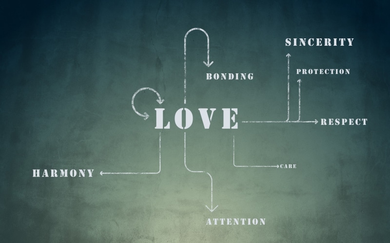 text, love/hate, love, protection, attention, harmony, care, sincerity, hd, bonding, 2K, respect