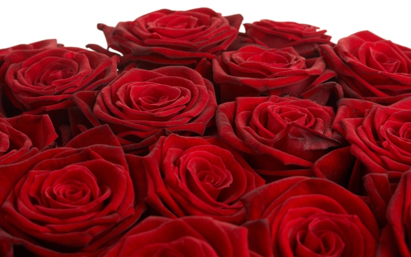 sweetheart, 3d and abstract, like, red, roses, courage, 2K, respect, love