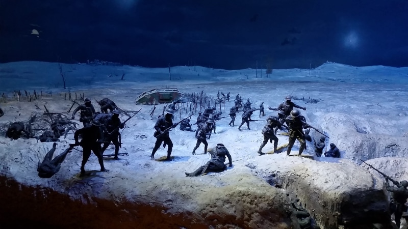 winter, Soldier, sacrifice, clothing, War, flower, remember, warm clothing, poster, ww1, lest, snow, nature, large group of people, frozen, real people