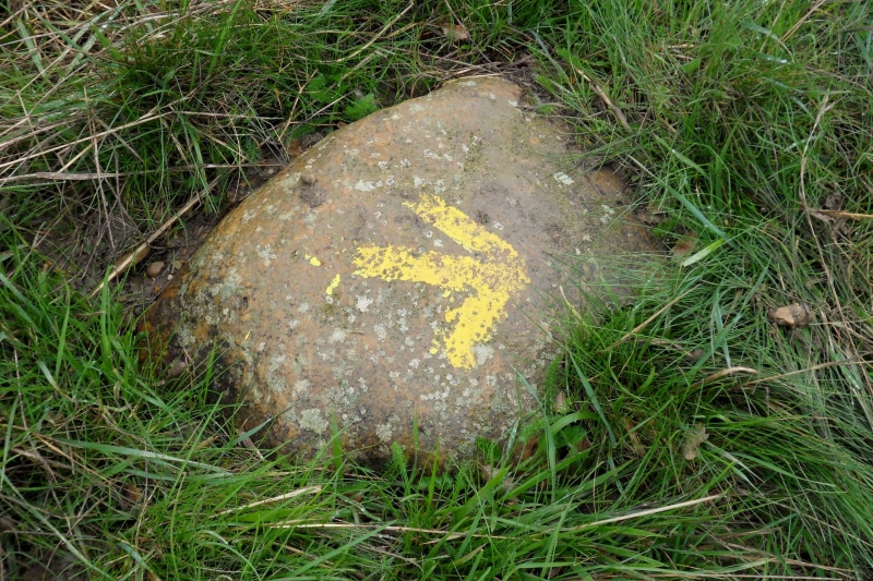 yellow, outdoors, characters, camino de santiago, land, 2K, communication, pilgrimage, close-up, direction, arrow, green color, away, sign, old, plant