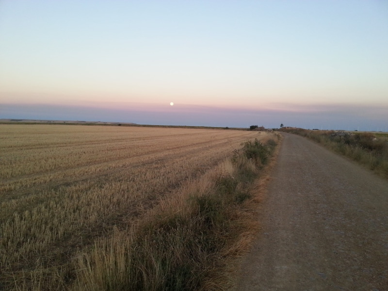 pilgrimage, nature, camino, blue, Camino De Santiago, land, farm, field, sky, grass, tranquil scene, 2K, scenics - nature, road, no People, outdoors, horizon