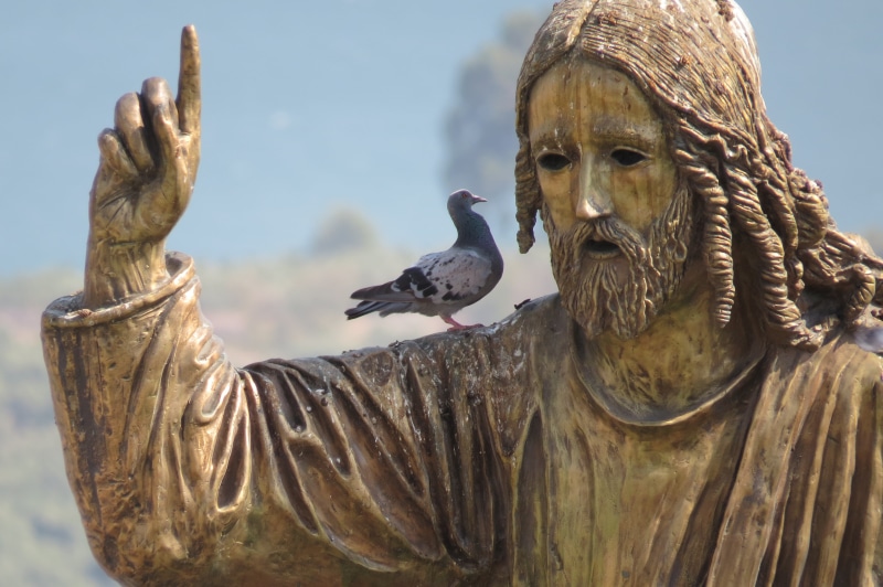 headshot, representation, conversation, sculpture, statue, christianity, bird, art and craft, focus on foreground, creativity, outdoors, pigeon, close-up