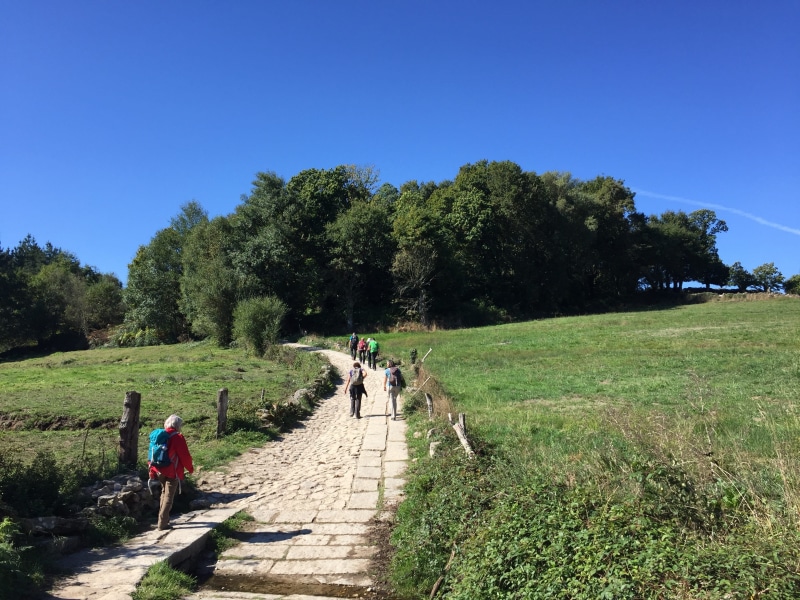 path, camino de santiago, leisure activity, rural Scene, scallop, camino, tree, Hiking, 2K, land, outdoors, bicycle, plant, forest, men, concrete, people