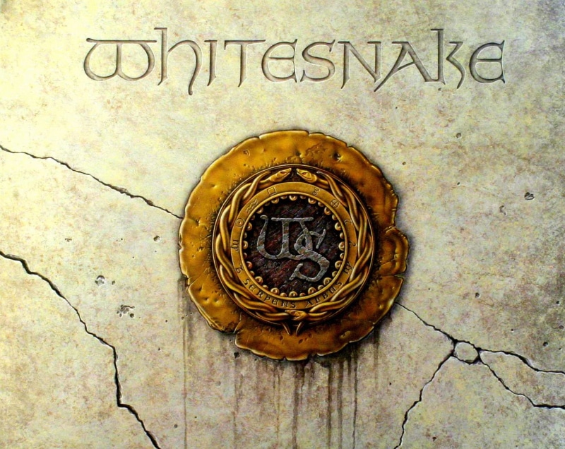 hair, poster, whitesnake, heavy, metal, hard, 720P, rock