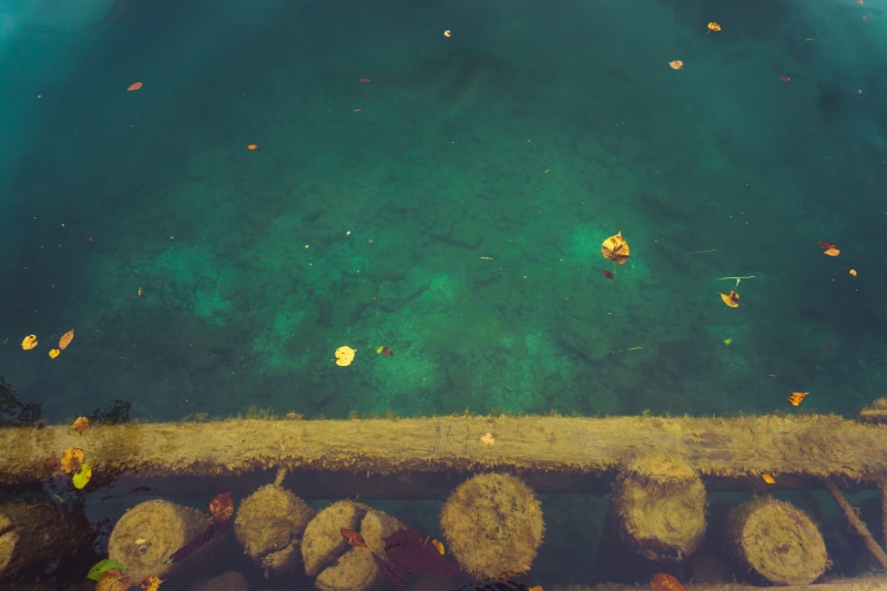 fish, water, high angle view, animal, 5K, no people, underwater, animal themes, marine, rock, outdoors, rock - object, vertebrate, nature, school of fish