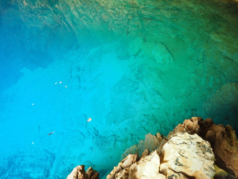 animal, source de la sorgue, water cave, spring, solid, fontaine de vaucluse, marine, no people, bluish, large group of animals, source of sorgue, day