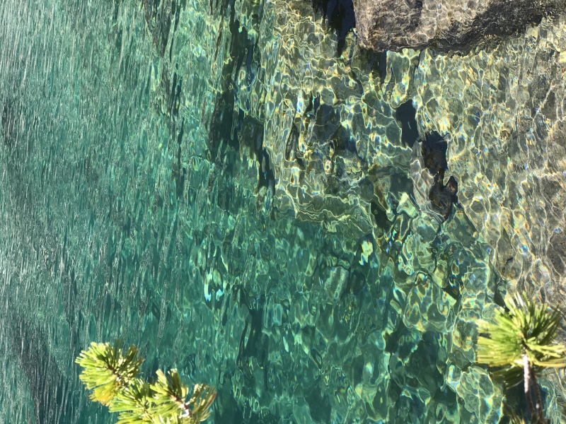 nature, no people, idaho, sea life, lake, animals in the wild, trees, marine, aquawater, sawtooth range, sunlight, swimming pool, day, rock, turquoise colored