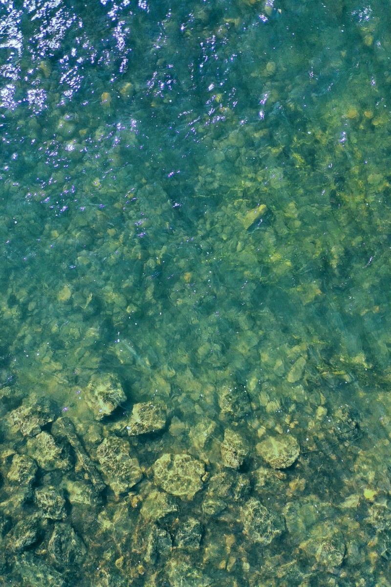 no people, nature, water, shallow, waterfront, 5K, animal, fish, animal wildlife, purity, full frame, day, swimming, body, animal themes, clean, undersea