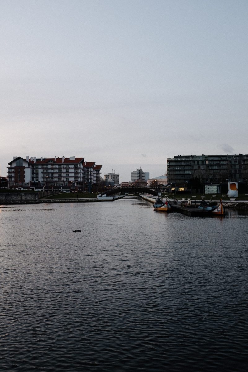 town, sky, vehicle, metropolis, waterfront, transportation, port, aveiro, water, mode of transportation, nautical vessel, boat, nature, copy space, vessel