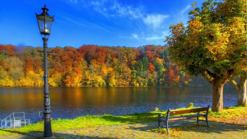 park, no people, outdoors, park bench, beauty in nature, sky, electric lamp, autumn collection, street light, plant, lighting equipment, street, tree, best pictures of nature hd picture 1920x1080