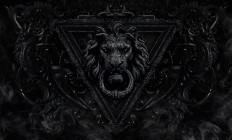 Door Knocker, Lion, Door, Black, Man Made, 1080P