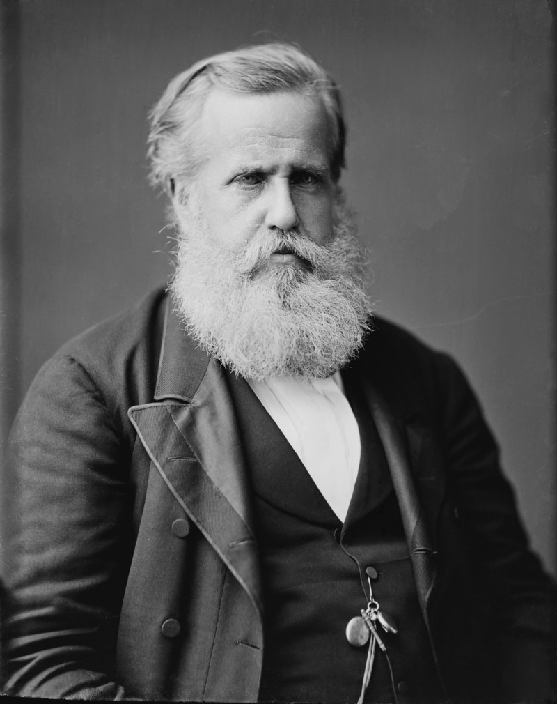mustache, vintage, looking at camera, mature men, real people, contemplation, mature adult, Dom Pedro II, beard, waist up, adult, 4K, old, Political Figure