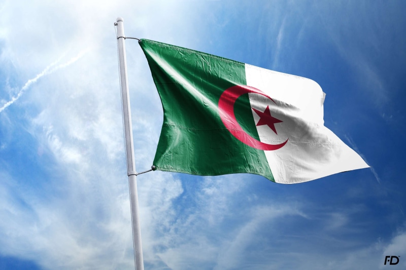 no people, green color, motion, independence, nature, patriotism, algiers, environment, wind, fatehdzairi, day, waving, national icon, arabic, cloud - sky