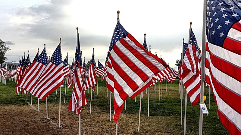 large group of objects, dom, nature, united states of america, 4th july, waving, north america, cloud - sky, symbolic, united, s, 1080P, abundance, states