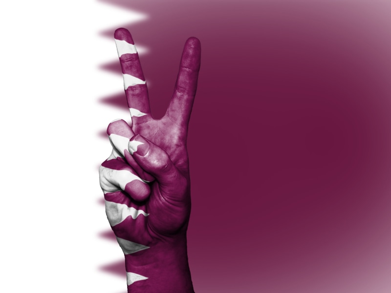 tourism, unrecognizable person, human body part, human finger, ensign, human hand, sign, country, body part, purple, social issues, holding, indoors, studio shot